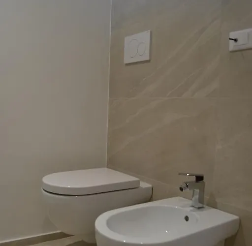 3.0 * 托雷拉皮罗